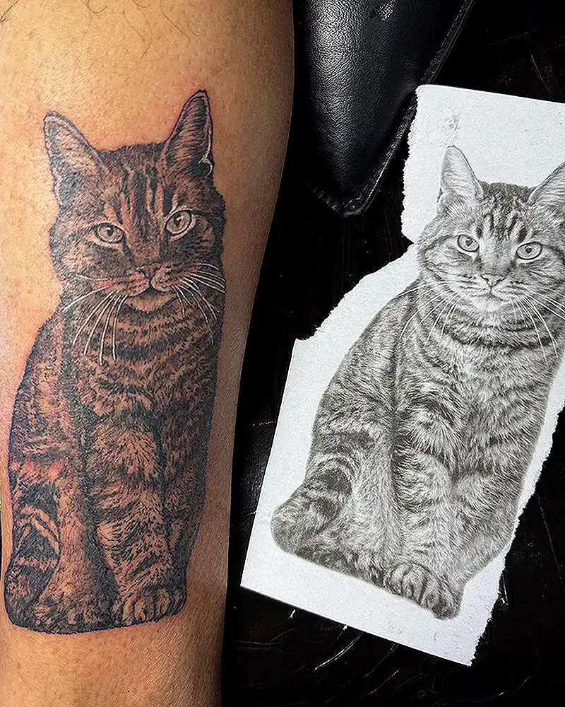 cat portrait tattoo calf