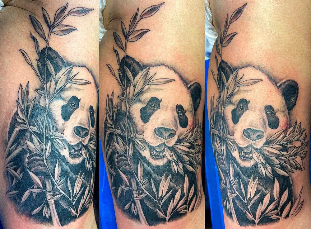 Panda eating Bamboo inner buicep attoo
